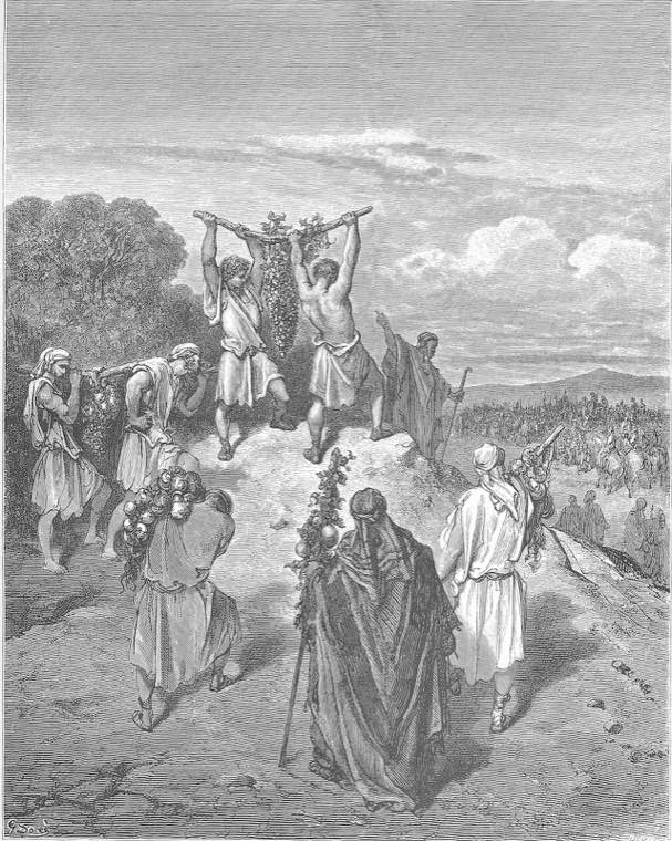 The Spies Return from the Promised Land